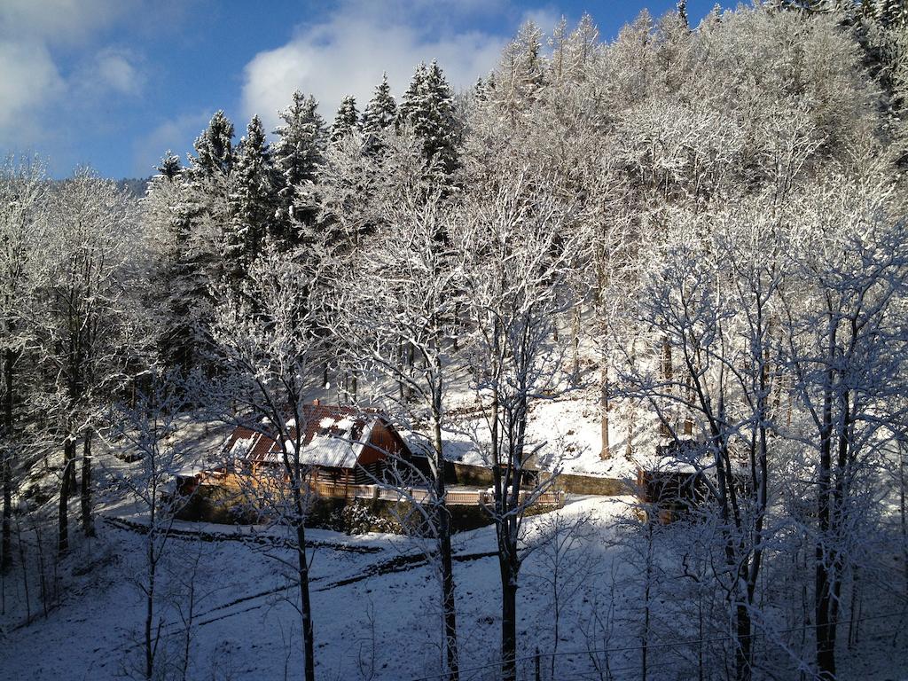 Chata Hokejka Rokytnice nad Jizerou Exterior foto